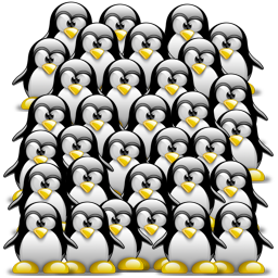 penguin pingouin pinguino 264